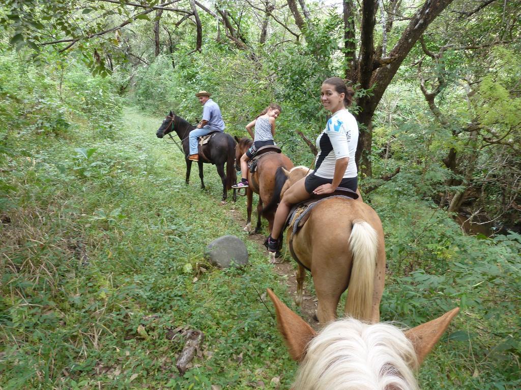 Eco Venao Lodge, Плайя-Венао Номер фото